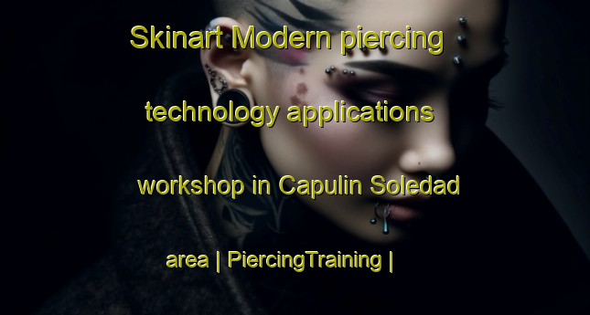 Skinart Modern piercing technology applications workshop in Capulin Soledad area | PiercingTraining | PiercingClasses | SkinartTraining-Mexico